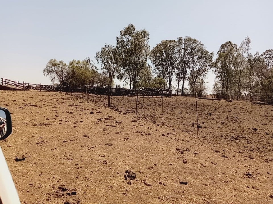  Bedroom Property for Sale in Lichtenburg Rural North West